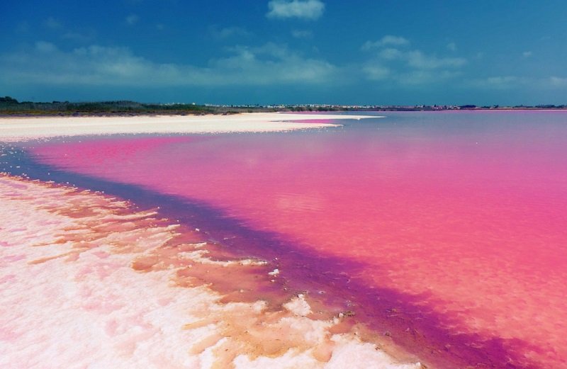 Розовое Озеро Хиллер в Австралии на острове Миддл