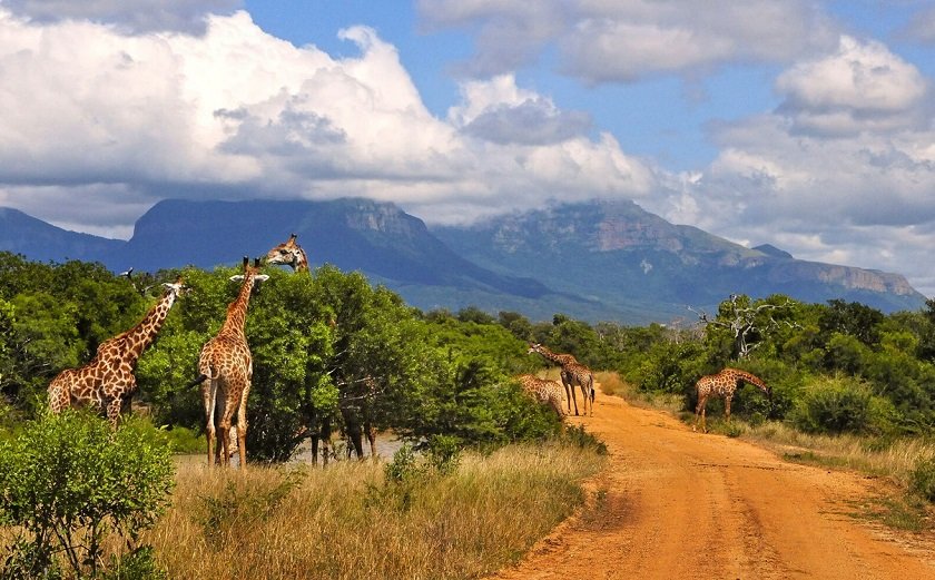 Прекрасная природа Южно-Африканской Республики