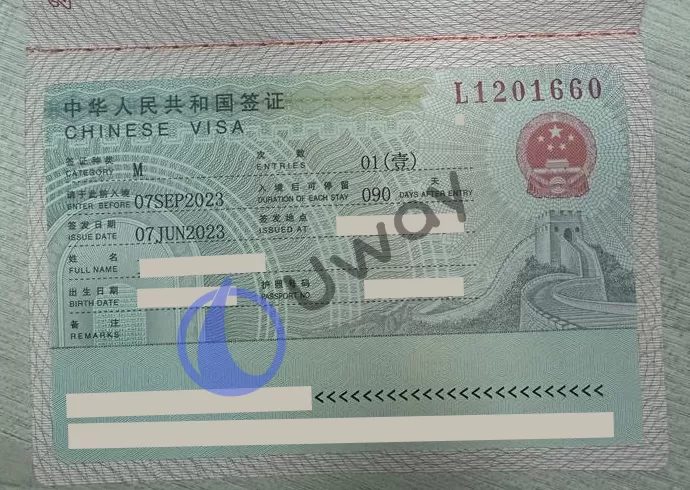 Бизнес виза в Китай, как выглядит