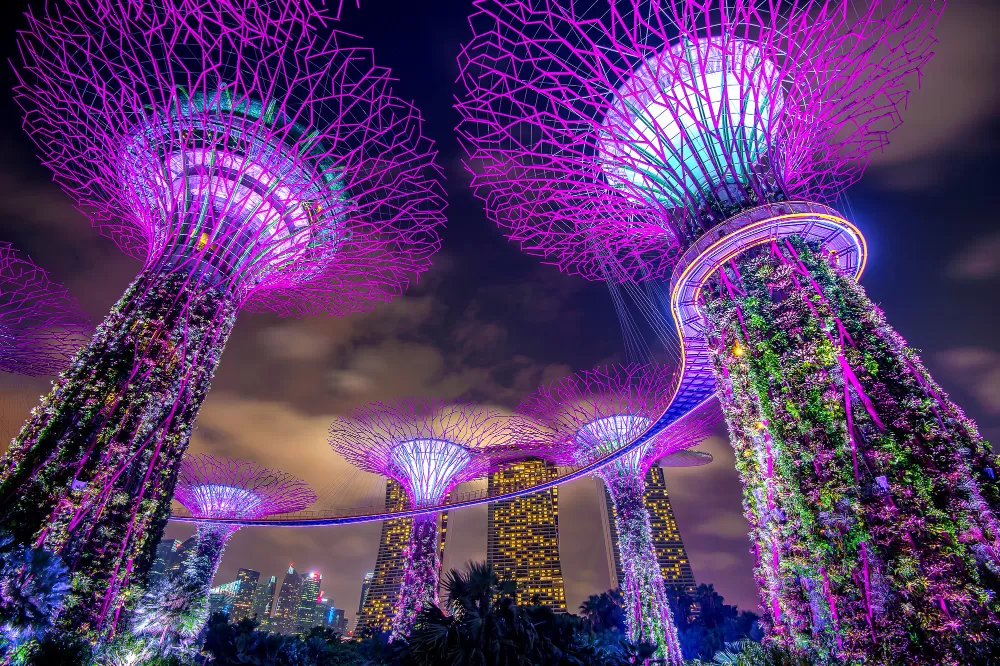 Сады у Залива (англ. Gardens by the Bay), Сингапур