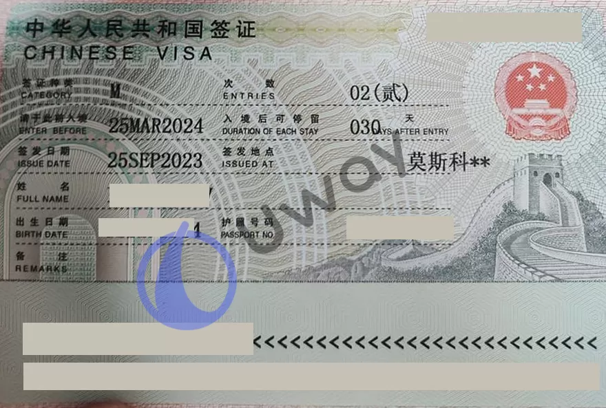 Бизнес виза в Китай, пример