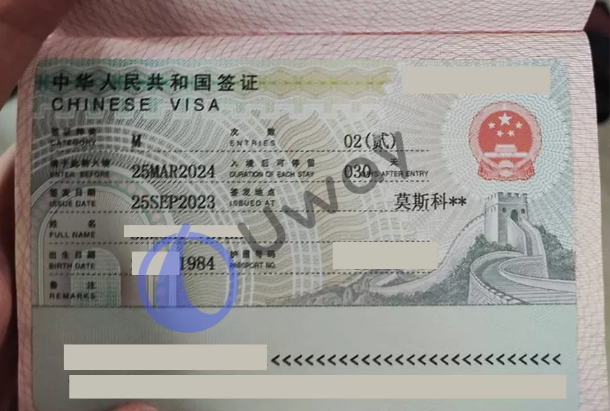 Китайская деловая виза, как выглядит