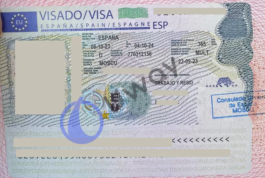 Виза цифрового кочевника (digital nomad visa) Испании