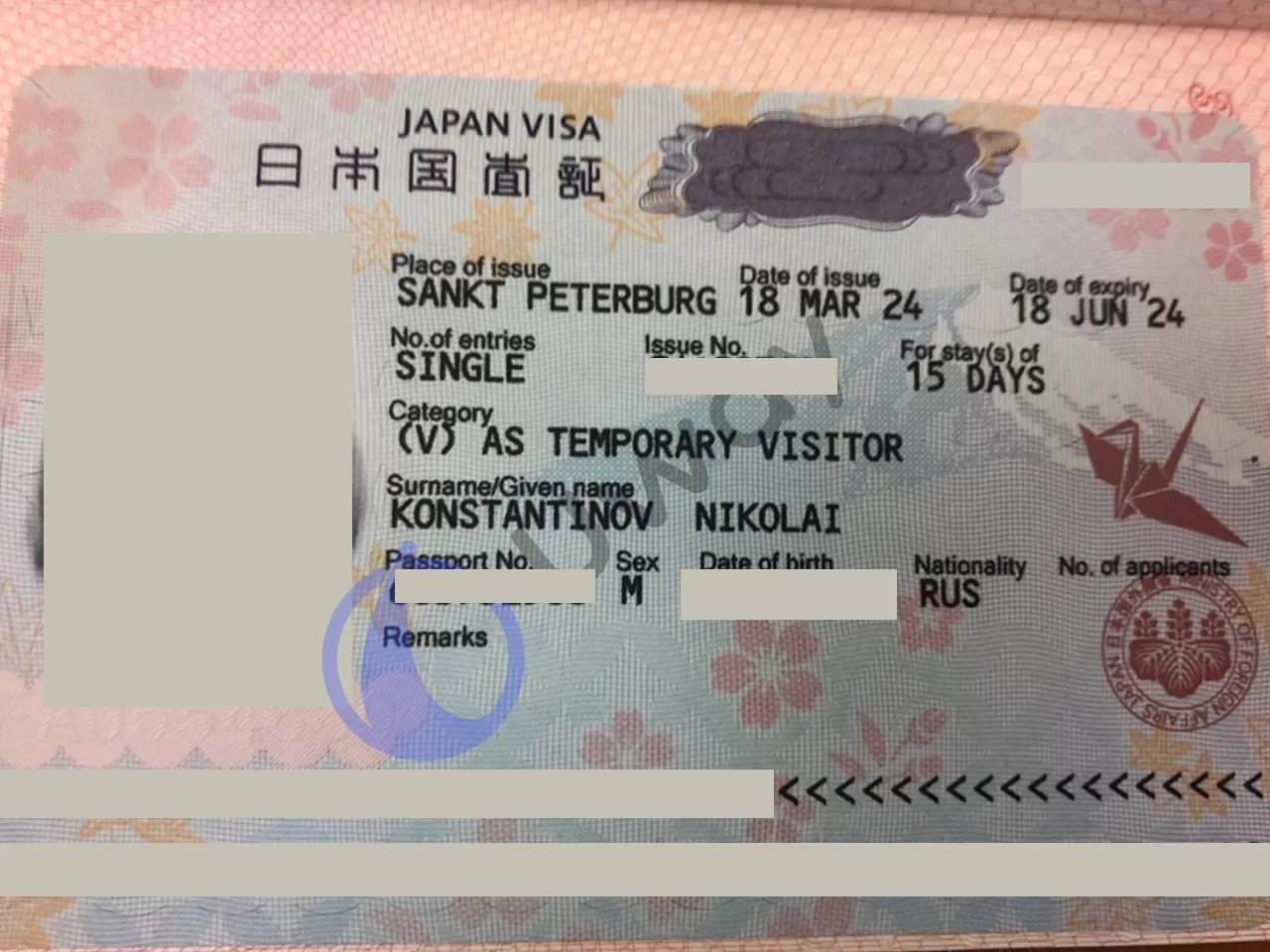Виза в Японию Temporary visitor, пример, кейс